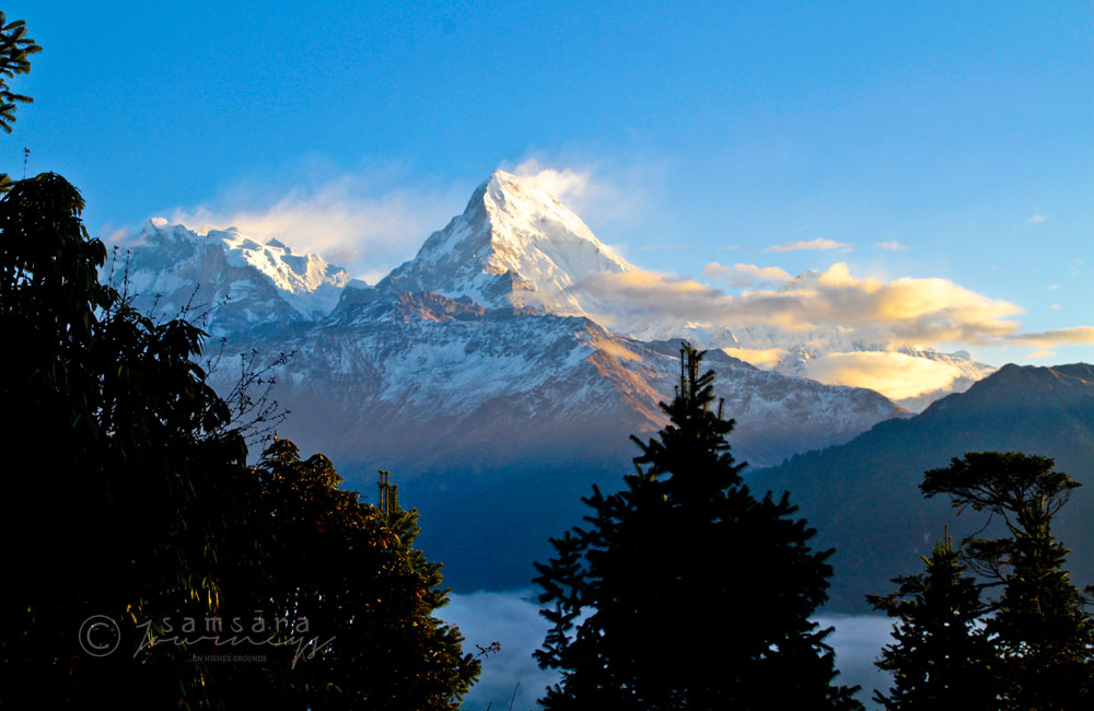Himalayan Splendor